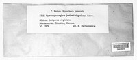 Image Associated With the Occurence